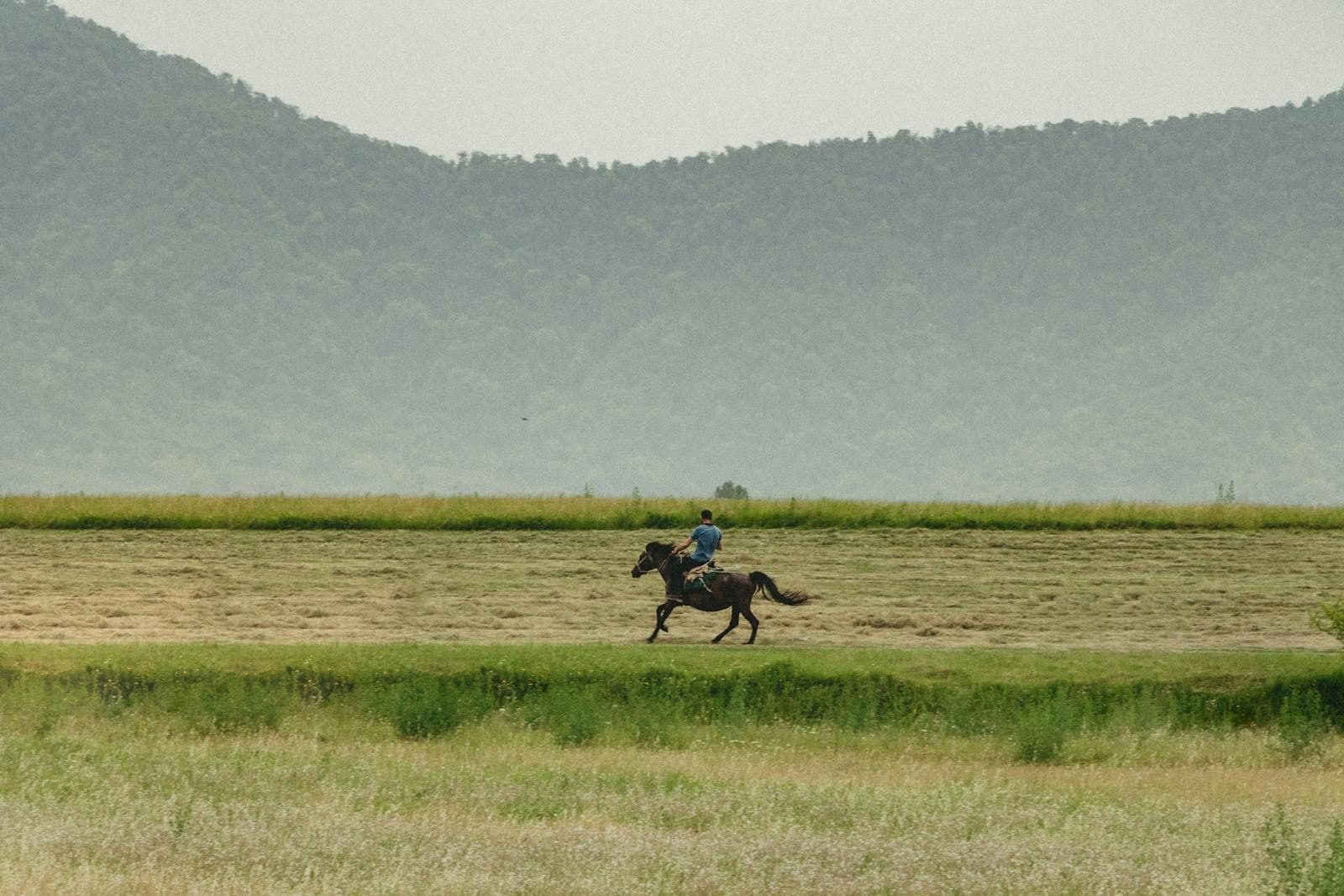Horse riding