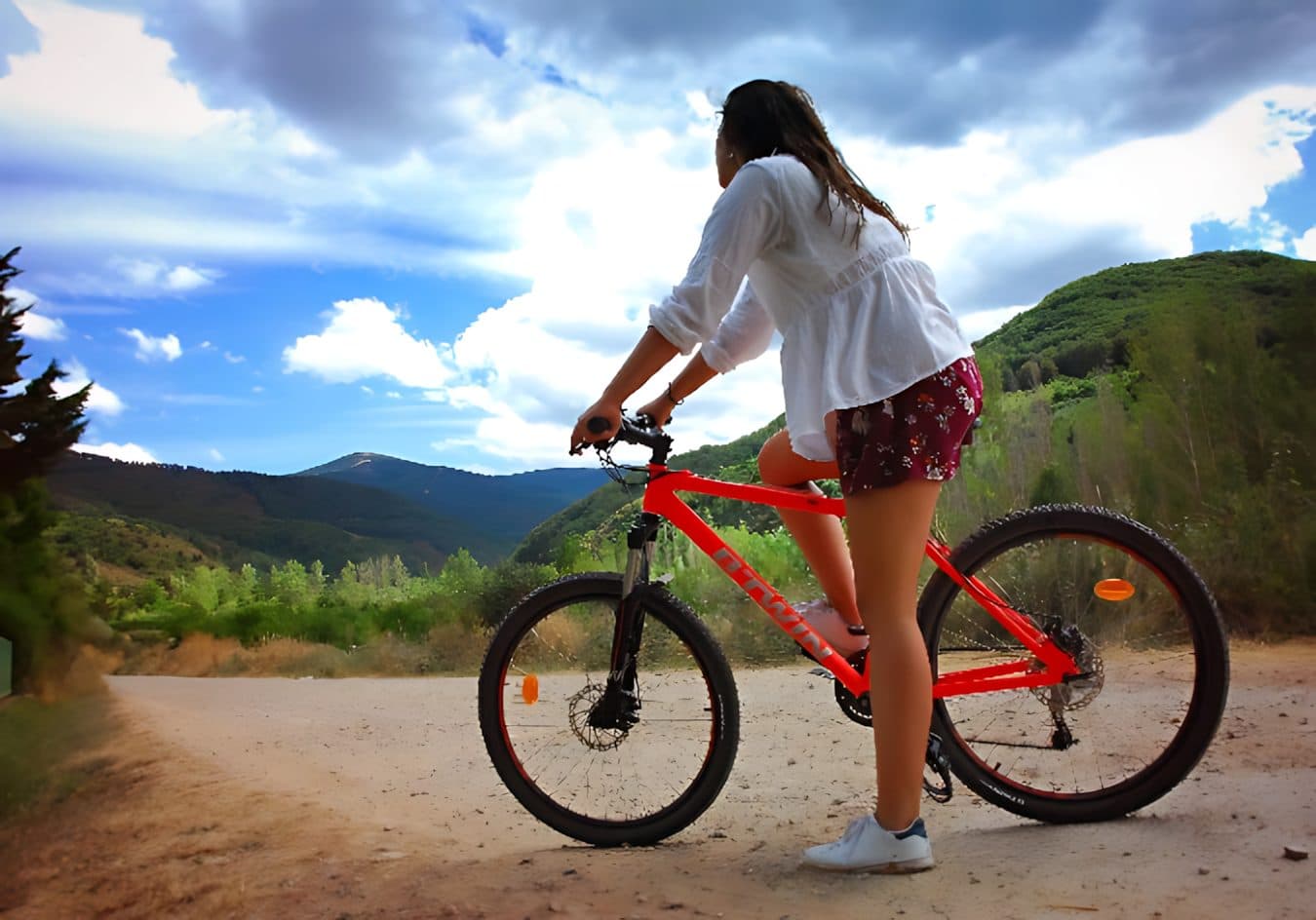 Mountain bikes