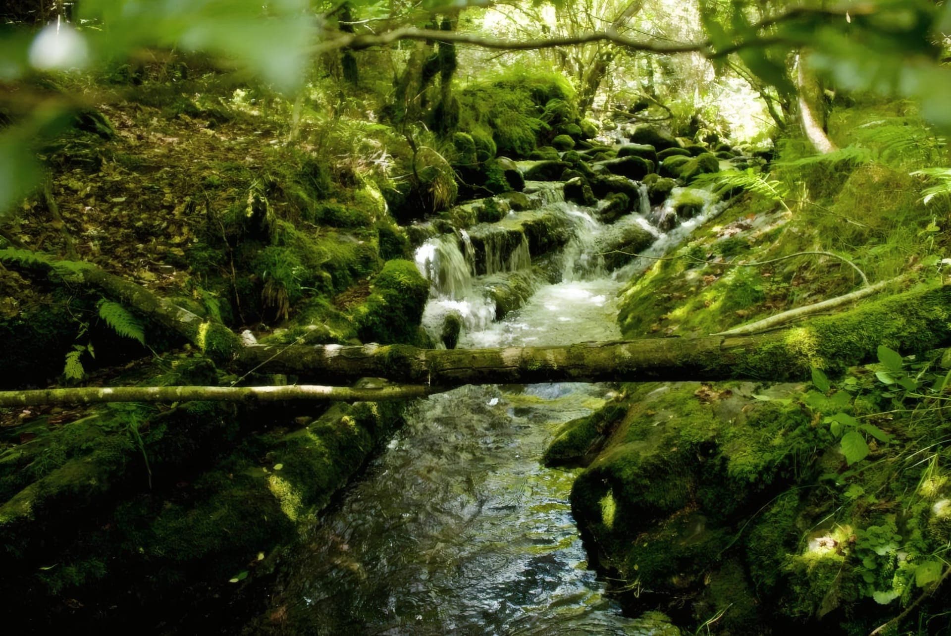A natural detail of the surroundings