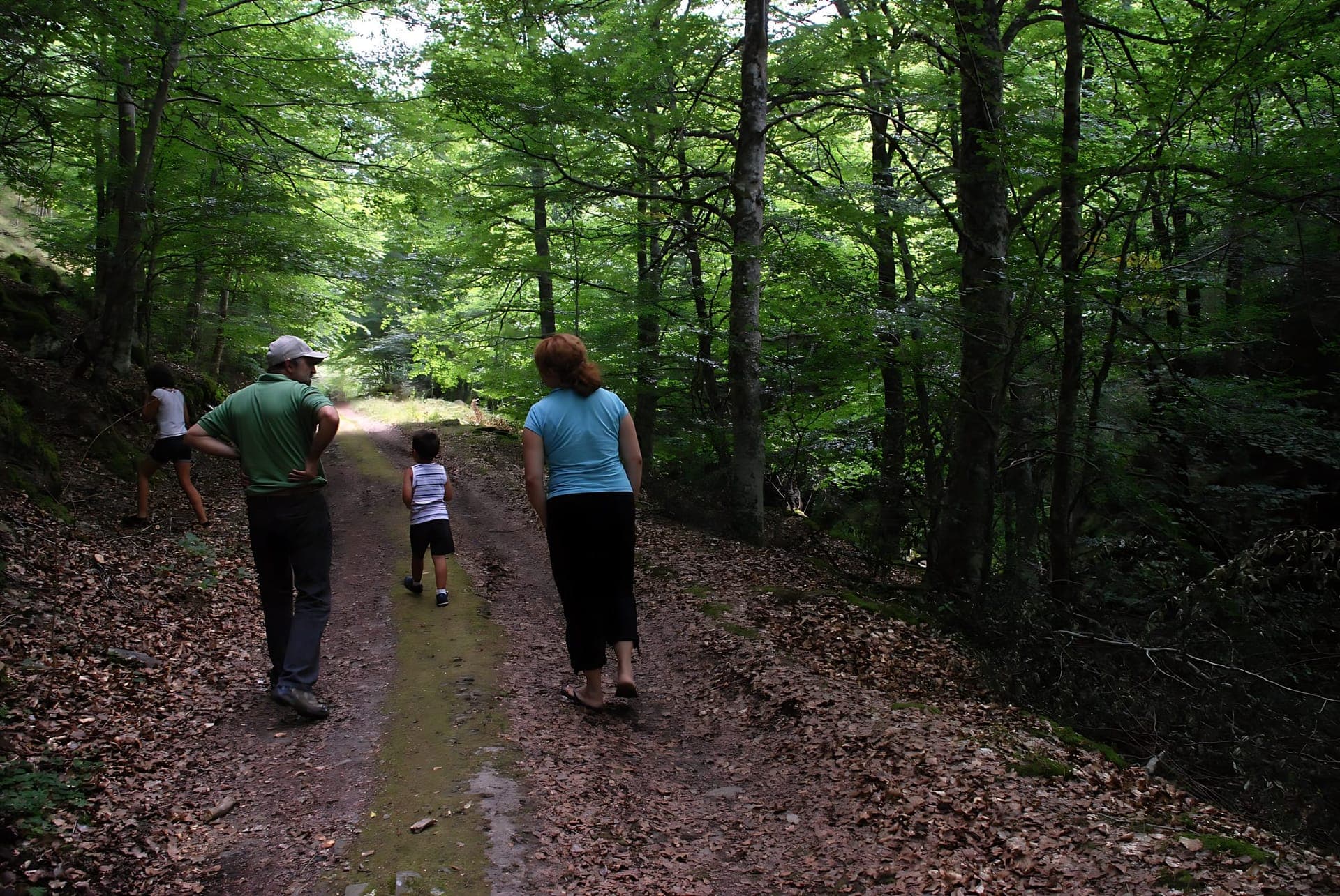 Hiking trails
